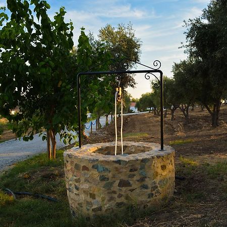Hotel Melrinitas Turismo Rural Serpa Exteriér fotografie