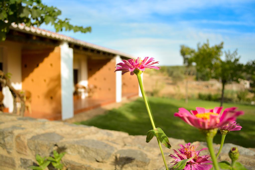 Hotel Melrinitas Turismo Rural Serpa Exteriér fotografie